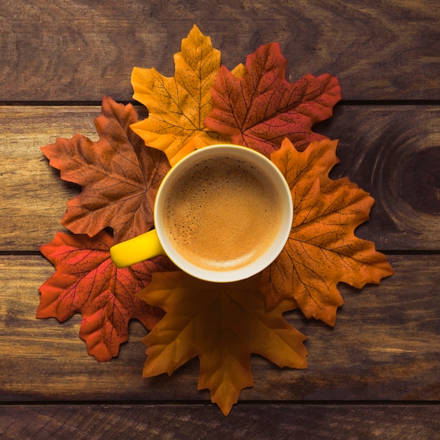 Ordentlich gesetztes Herbstlaub um Kaffeetasse