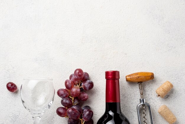 Organinc Trauben der Draufsicht für Wein