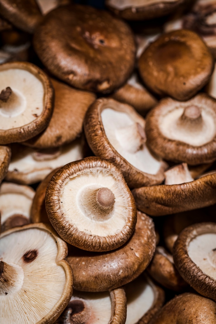 Kostenlose Foto organische ernte der gesunden pilze für verkäufe