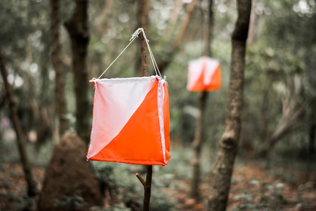 Orientierungslaufkasten im Freien in einem Wald