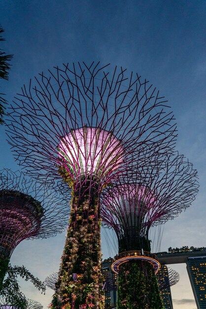 Outside Gardens By The Bay in Singapur