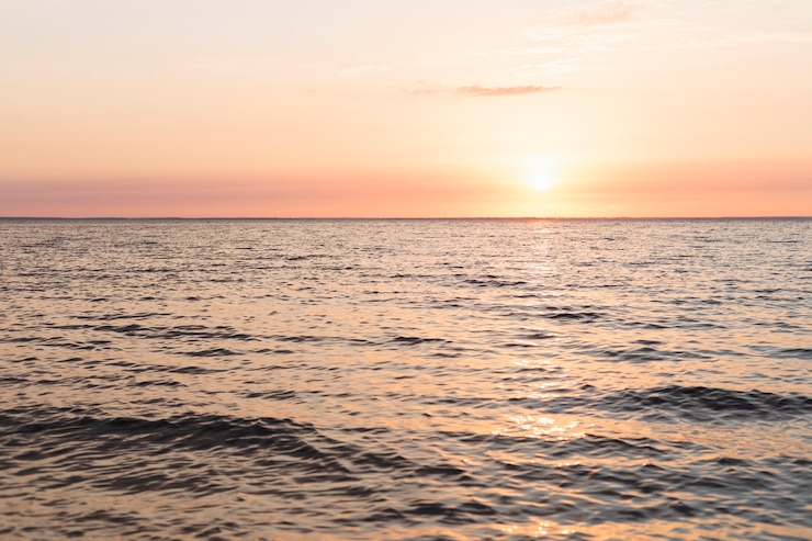 Kostenlose Foto paar blick auf einen schönen sonnenuntergang