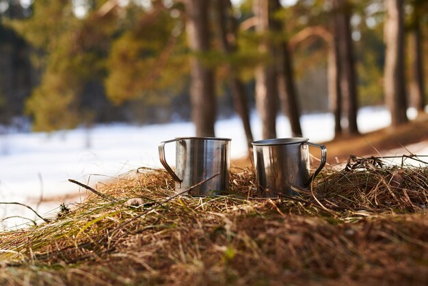 Paar Metallbecher mit Tee im Freien auf dem Frühlingsgras am Wald