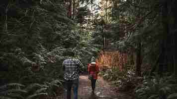 Kostenloses Foto paare, die in wald gehen