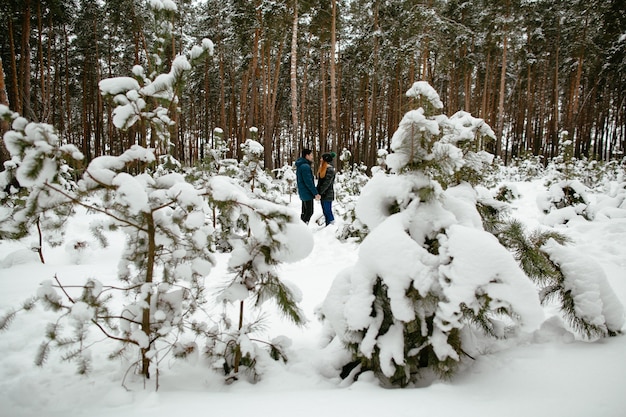 Paare in der Liebe, die in den schneebedeckten Kiefernwald geht. Winter Liebesgeschichte.