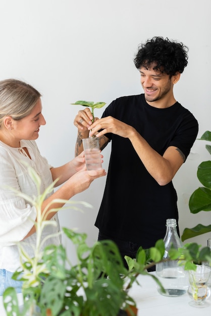 Paarwasser, das ihre Zimmerpflanzen vermehrt