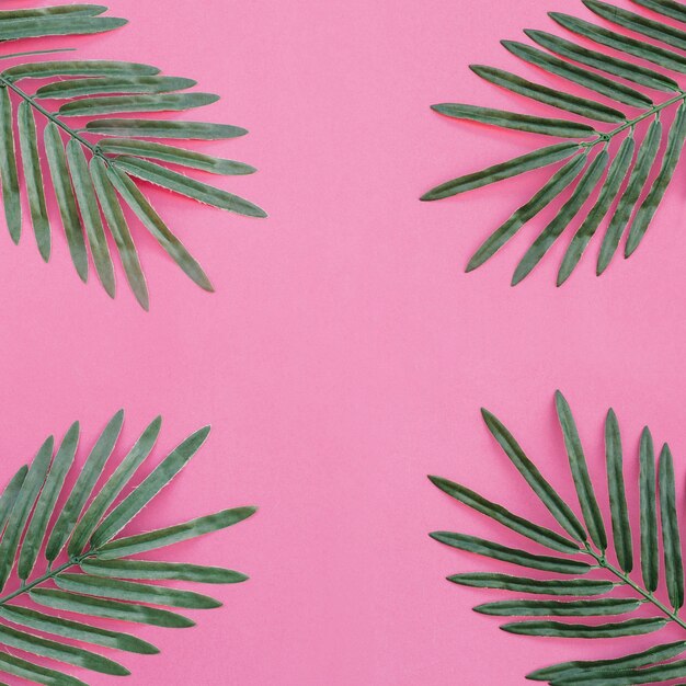 Palmblätter auf rosa Hintergrund an den vier Ecken
