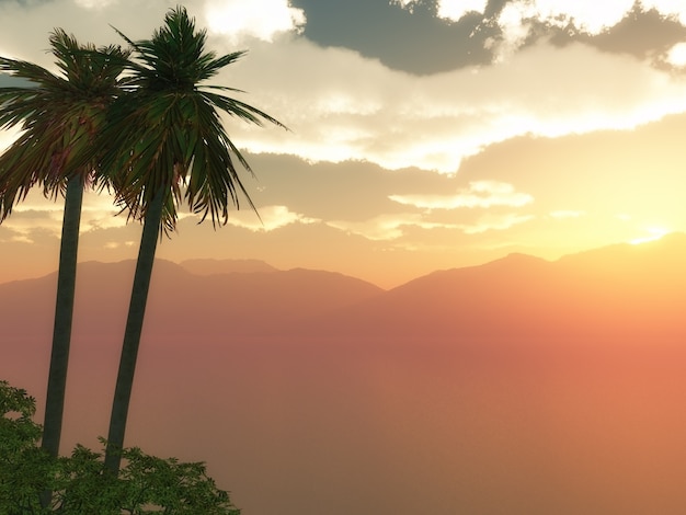 Palme in einem Sonnenuntergang