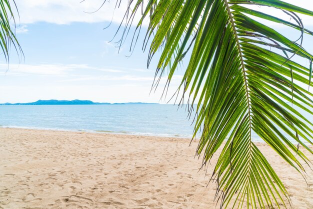 Palme und tropischer Strand in Pattaya in Thailand