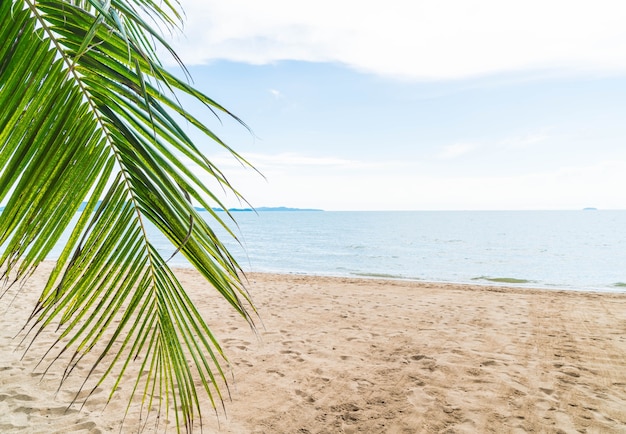 Palme und tropischer Strand in Pattaya in Thailand