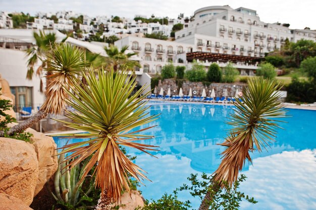 Palmen auf Felsen am Pool am Morgen im mediterranen Sommerresorthotel in der Türkei Bodrum