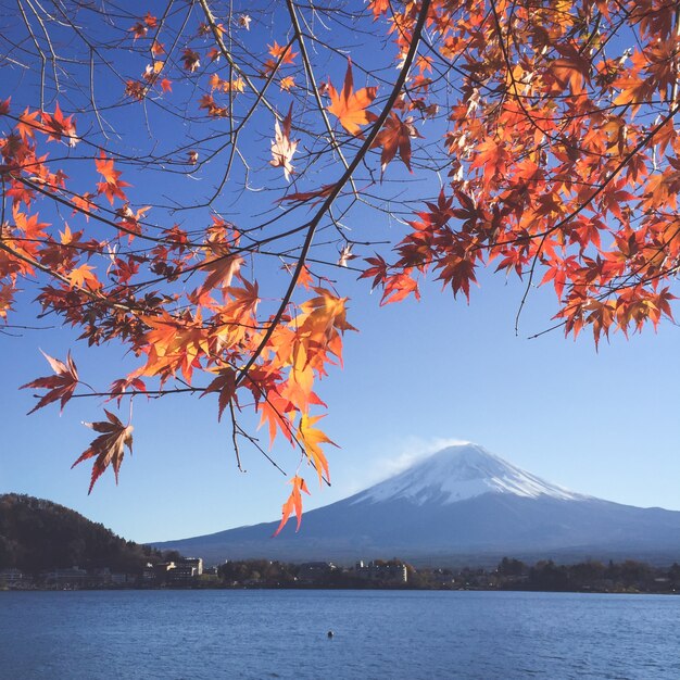 Panorama schnee fuji Frühling