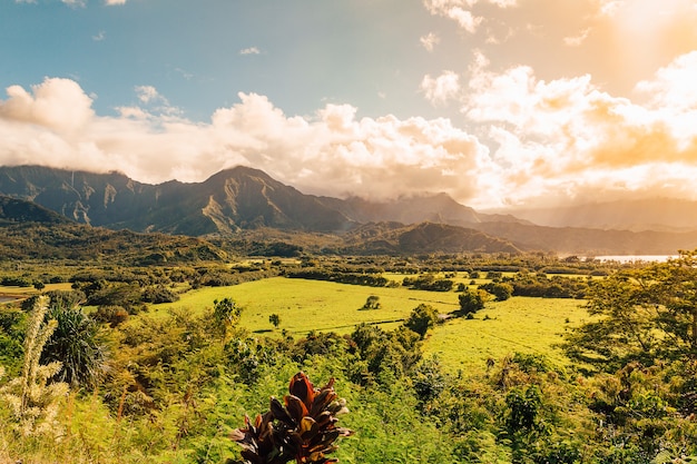 Panoramaaufnahme der wunderschönen Natur auf der Insel Kauai, Hawaii