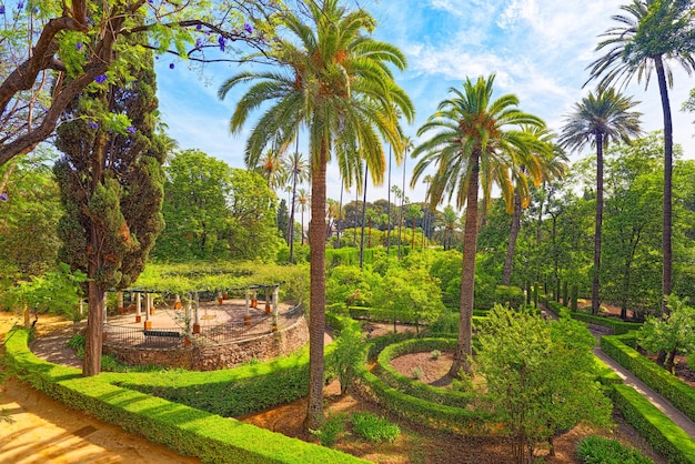Panoramablick auf den großen und schönen garten - gärten des royal alcazar in sevilla. spanien.
