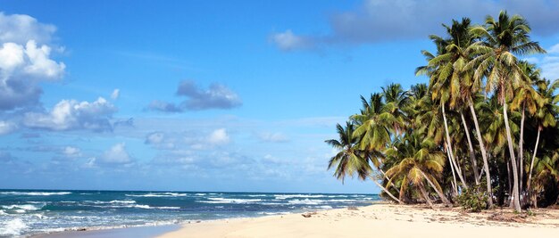 Panoramablick auf den karibischen Strand unter der Sonne