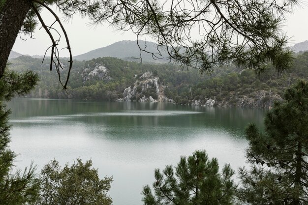 Panoramablick auf die Natur