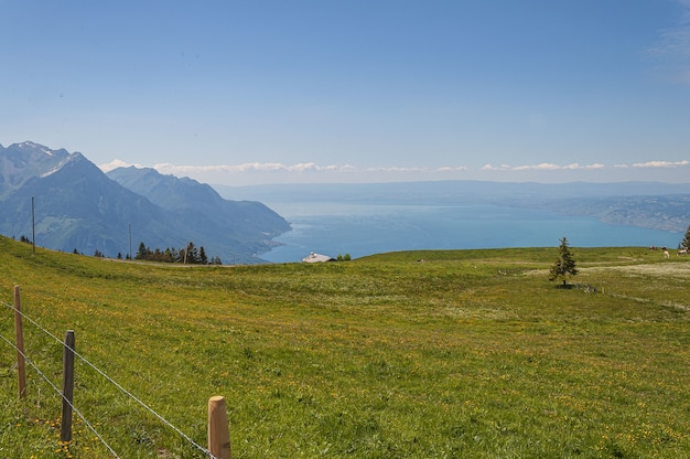 Panoramablick auf Lavaux, Schweiz mit Zaun und grünem Gras