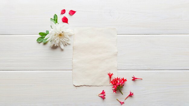 Papier mit sanften Blumen arrangiert