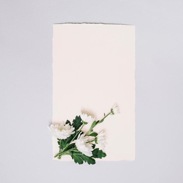 Papierblatt mit kleinen Blumen auf weißer Tabelle