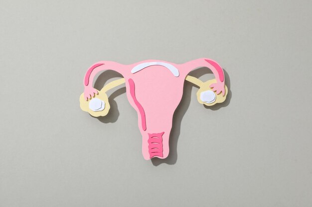 Papieruterus auf grauem Hintergrund, Top-View