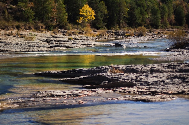 Kostenloses Foto paradiesische natur