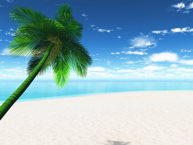 Paradise Strand mit Palme