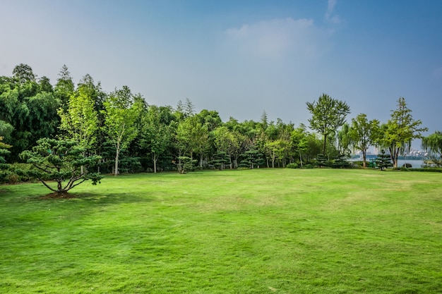 Park in China