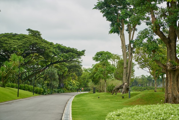 Park mit Bäumen an den Seiten einer Straße