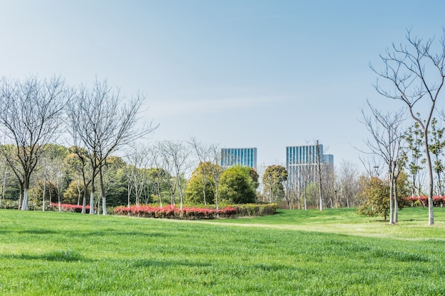 Park mit einer Stadt hinter