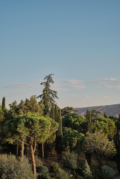 Parken Sie in den Strahlen der untergehenden Sonne vertikalen Rahmen die Idee des Parkdesigns Park im italienischen Stil