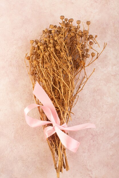 Peganum Harmala Pflanze getrocknet mit rosa Schleife auf der rosa Tischpflanze Farbfoto Pflanze