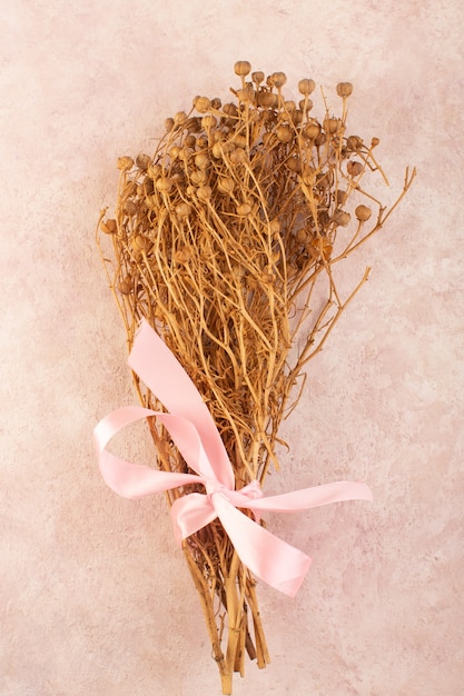 Peganum Harmala Pflanze getrocknet mit rosa Schleife auf der rosa Tischpflanze Farbfoto Pflanze