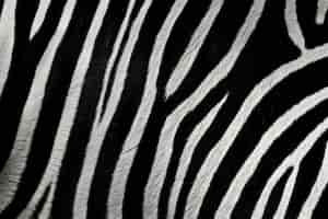 Kostenloses Foto pelzstruktur mit zebramuster