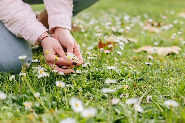 Person auf Gras mit Gänseblümchen