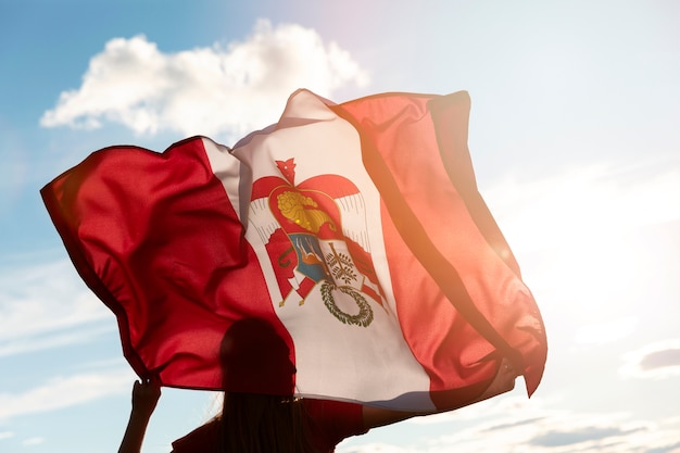 Kostenloses Foto person, die die peru-flagge im freien hält