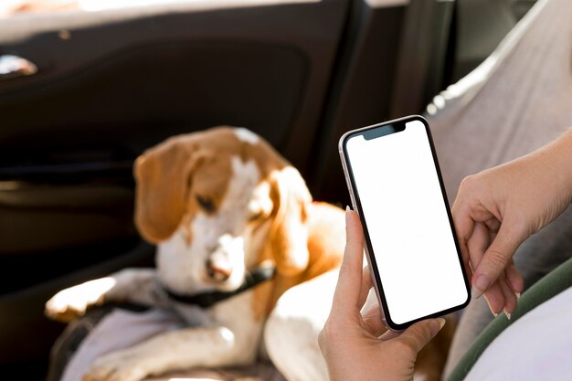 Person, die ein Handy und einen verschwommenen Hund im Hintergrund hält