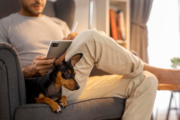 Person, die von zu Hause aus mit Hund arbeitet