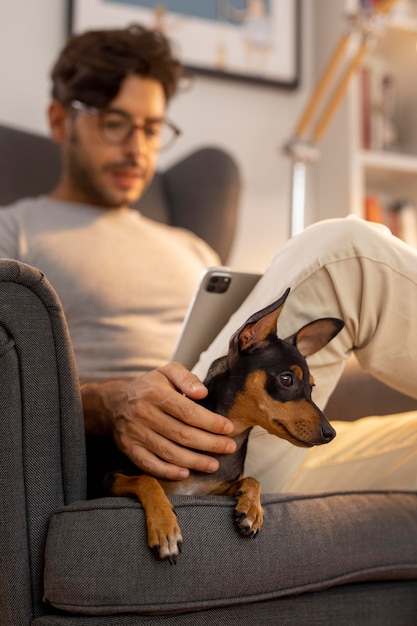 Person, die von zu Hause aus mit Hund arbeitet