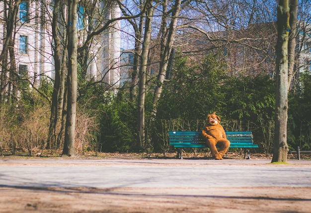 Person gekleidet in einem Bärenanzug, der auf einer Bank sitzt