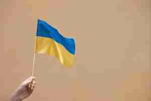 Kostenloses Foto person mit ukrainischer flagge