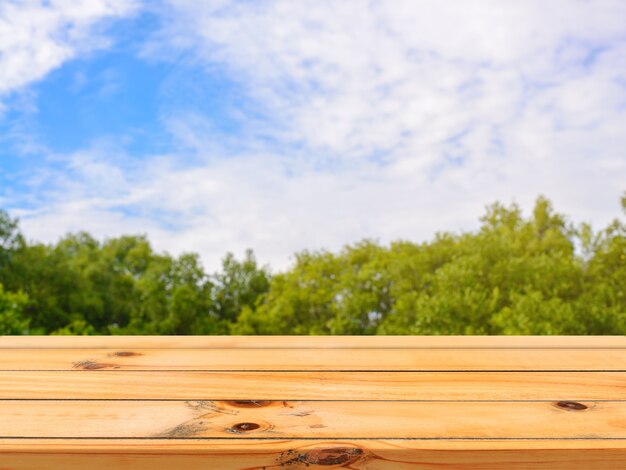 Perspektive Sommer natürliche Laub Zähler