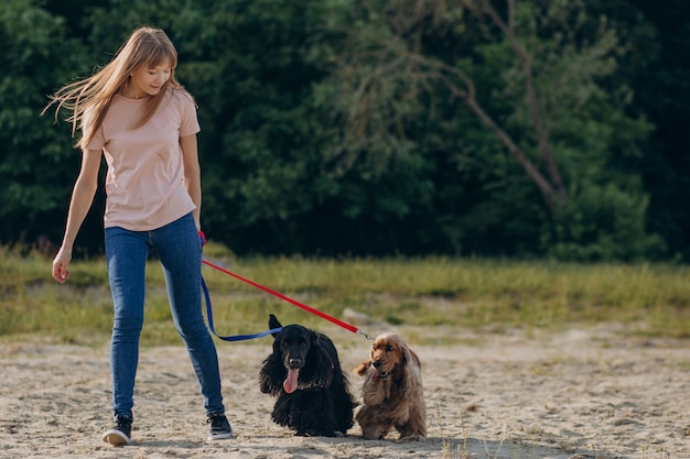 Kostenloses Foto pet walker, der mit cocker spaniel hunden spazieren geht