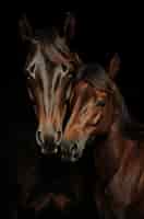 Kostenloses Foto pferd in der natur erzeugt bild