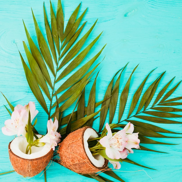 Pflanzenblätter und Kokosnüsse in der Nähe von frischen Blumen