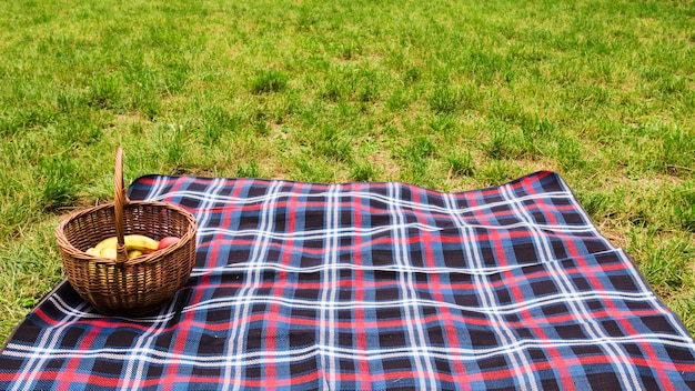 Picknickkorb auf Decke über dem grünen Gras