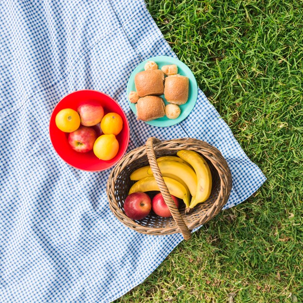 Picknickkorb mit Früchten und Brot auf Kontrolldecke über grünem Gras