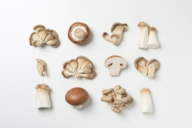 Kostenlose Foto pilze konzept der herbstnahrung herbsternte
