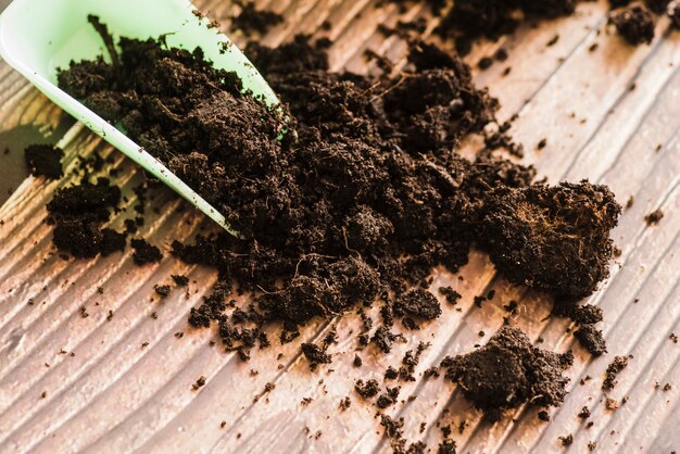 Plastikschaufeln mit dunklem fruchtbarem Boden auf hölzernem Schreibtisch