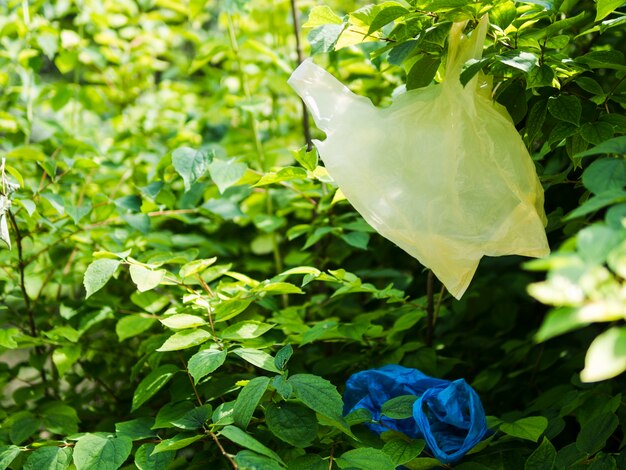 Plastiktasche, die am Baumast am Garten hängt
