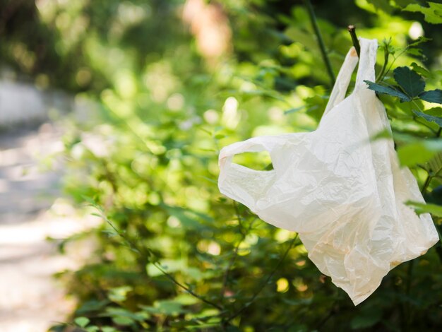 Plastiktasche, die am Baumast an draußen hängt